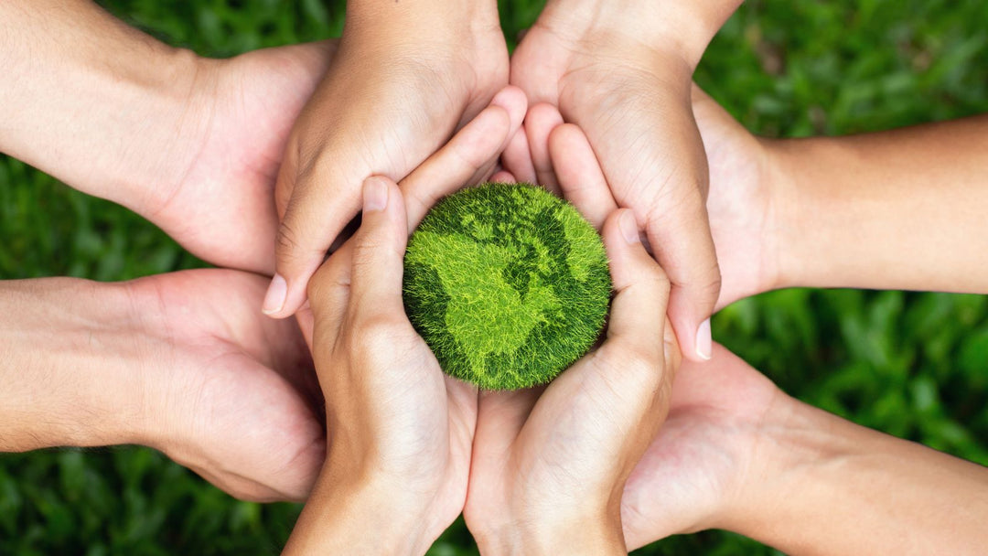 Children's hands holding a small representation of Earth made of grass