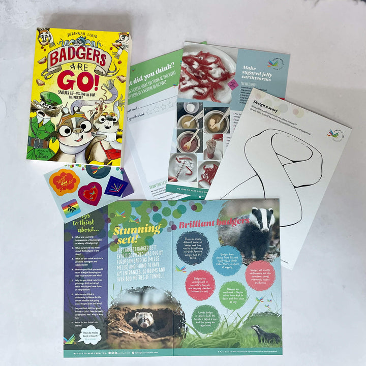 Badgers Are Go! chapter book and activity pack