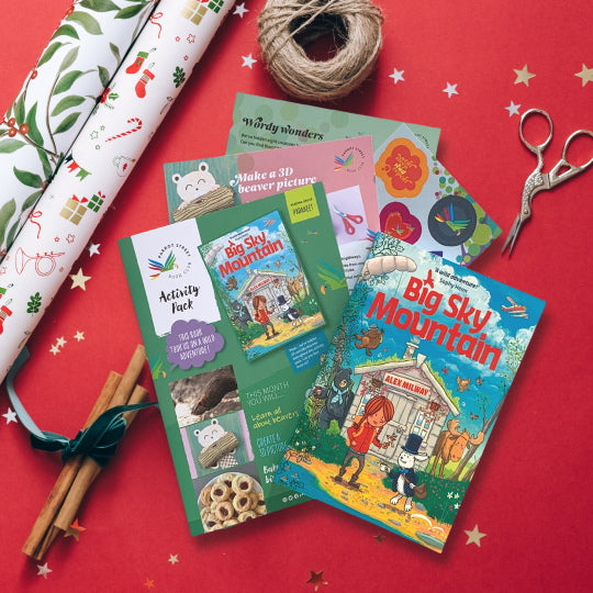 Example book and activity pack against a Christmas wrapping background