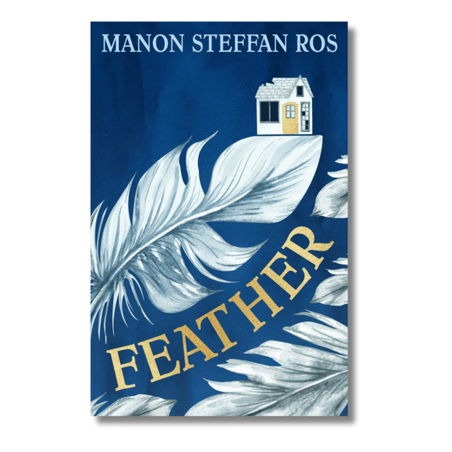 Cover of Feather by Manon Steffan Ros